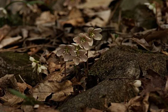 440469610_7926016584109083_1357852913558870629_n.jpg?stp=dst-jpg_p526x395&_nc_cat=101&ccb=1-7&_nc_sid=5f2048&_nc_ohc=h6ykZtj7DJ8Q7kNvgFs9S6u&_nc_ht=scontent-ssn1-1.xx&oh=00_AYBK2zYAi9P2QqpA8Rwj8rvf6ZKNaC674LsMKo54t6VCeg&oe=665AF421