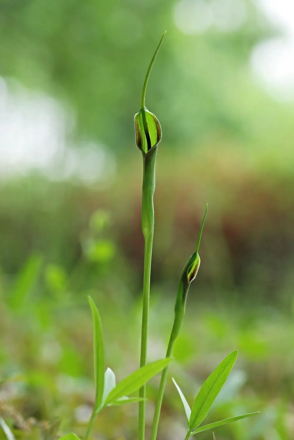 447677917_8028089800568427_3839334133298749535_n.jpg?_nc_cat=111&ccb=1-7&_nc_sid=5f2048&_nc_ohc=yoeB5WORZZ0Q7kNvgHx5K7Q&_nc_ht=scontent-ssn1-1.xx&oh=00_AYDBfrj0cvWXkZ0fTAp68Wi8ekSbjvvMRYu2MiWG04XnKw&oe=66701FA5