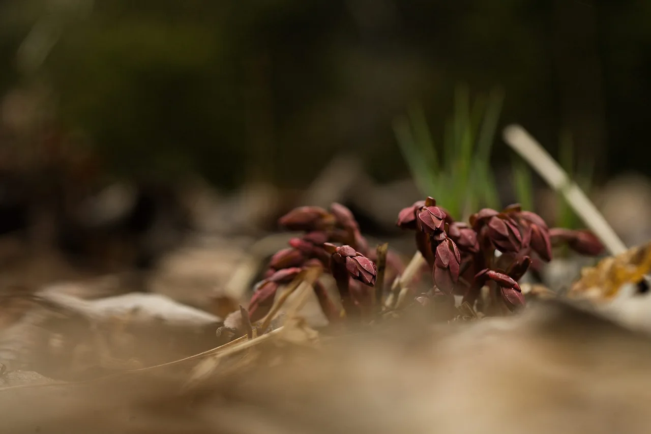 441673264_7973177156059692_1543955974010716242_n.jpg?_nc_cat=107&ccb=1-7&_nc_sid=5f2048&_nc_ohc=0kwMFnoSyGUQ7kNvgGHSaBH&_nc_ht=scontent-ssn1-1.xx&oh=00_AYDhlo3PAEZeyVdiw_2hYxlxLeaDjrK-j7JdSh7VxOoArw&oe=6664223F