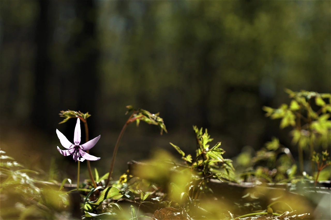 440751046_7862965883747487_2555040233575151115_n.jpg?_nc_cat=107&ccb=1-7&_nc_sid=5f2048&_nc_ohc=CxpPO9wiy9gQ7kNvgHe-_k9&_nc_ht=scontent-ssn1-1.xx&oh=00_AYAKrNZA0VIB2GIOhPsQc-igGvCLxW_dr-_A82j2x-88SQ&oe=6643652D