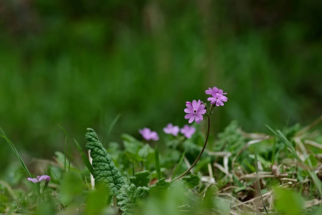 447681278_8043184729058934_4768622446464896987_n.jpg?_nc_cat=106&ccb=1-7&_nc_sid=5f2048&_nc_ohc=NtCdo8OMXmQQ7kNvgFporL6&_nc_ht=scontent-ssn1-1.xx&oh=00_AYDx9E0Sjcb__D1iX4_pnICgxiMxVgZOOvKuZ0s1G-0onQ&oe=66794C1C