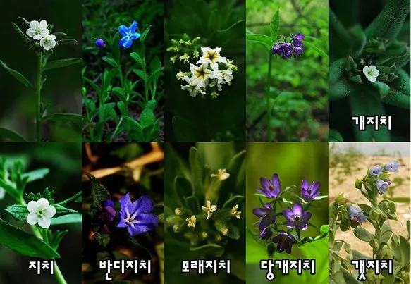 448159492_8072937072750366_2835530144370859082_n.jpg?stp=dst-jpg_p403x403&_nc_cat=111&ccb=1-7&_nc_sid=127cfc&_nc_ohc=GoHUmvYeQzsQ7kNvgGey9ao&_nc_ht=scontent-ssn1-1.xx&oh=00_AYCNM9LS-82_4jGOHj-yZ2UNtdejEu2BgVUwVziwUl1XnA&oe=668119C1