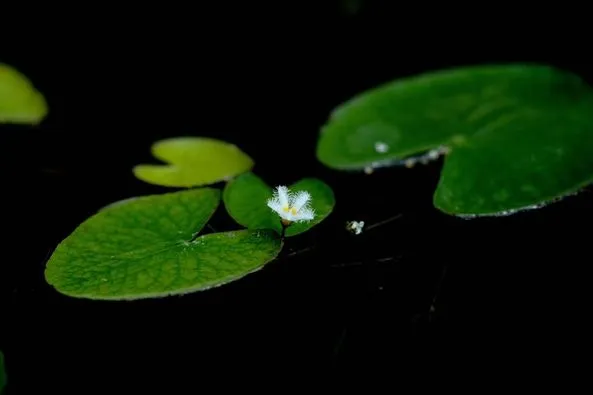 449838798_8179680325409373_5233990352025156883_n.jpg?stp=dst-jpg_p526x395&_nc_cat=102&ccb=1-7&_nc_sid=127cfc&_nc_ohc=nA2jTx5aHPUQ7kNvgHmyF_3&_nc_ht=scontent-ssn1-1.xx&oh=00_AYA_XIrjtBRrTD43fS_Ld6QE7X2ZQOdEcvOhJVAyS_dcNw&oe=66DED341