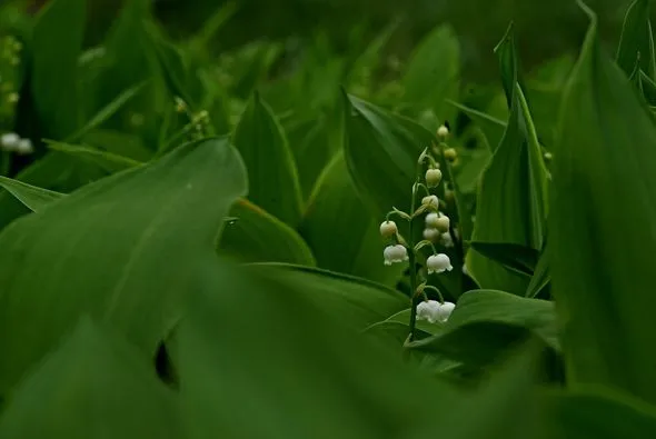 451002831_8246694695374602_1828163943616479183_n.jpg?stp=dst-jpg_p526x395&_nc_cat=106&ccb=1-7&_nc_sid=127cfc&_nc_ohc=GQnaLlFV0xUQ7kNvgGpnwz5&_nc_ht=scontent-ssn1-1.xx&_nc_gid=ABlGV2g75F9X9la5G5Snzxr&oh=00_AYAD0ENuuI7M9PTIaH8iveYGdcOrhVobaQsAkE9Nde7G4A&oe=66E3FA70