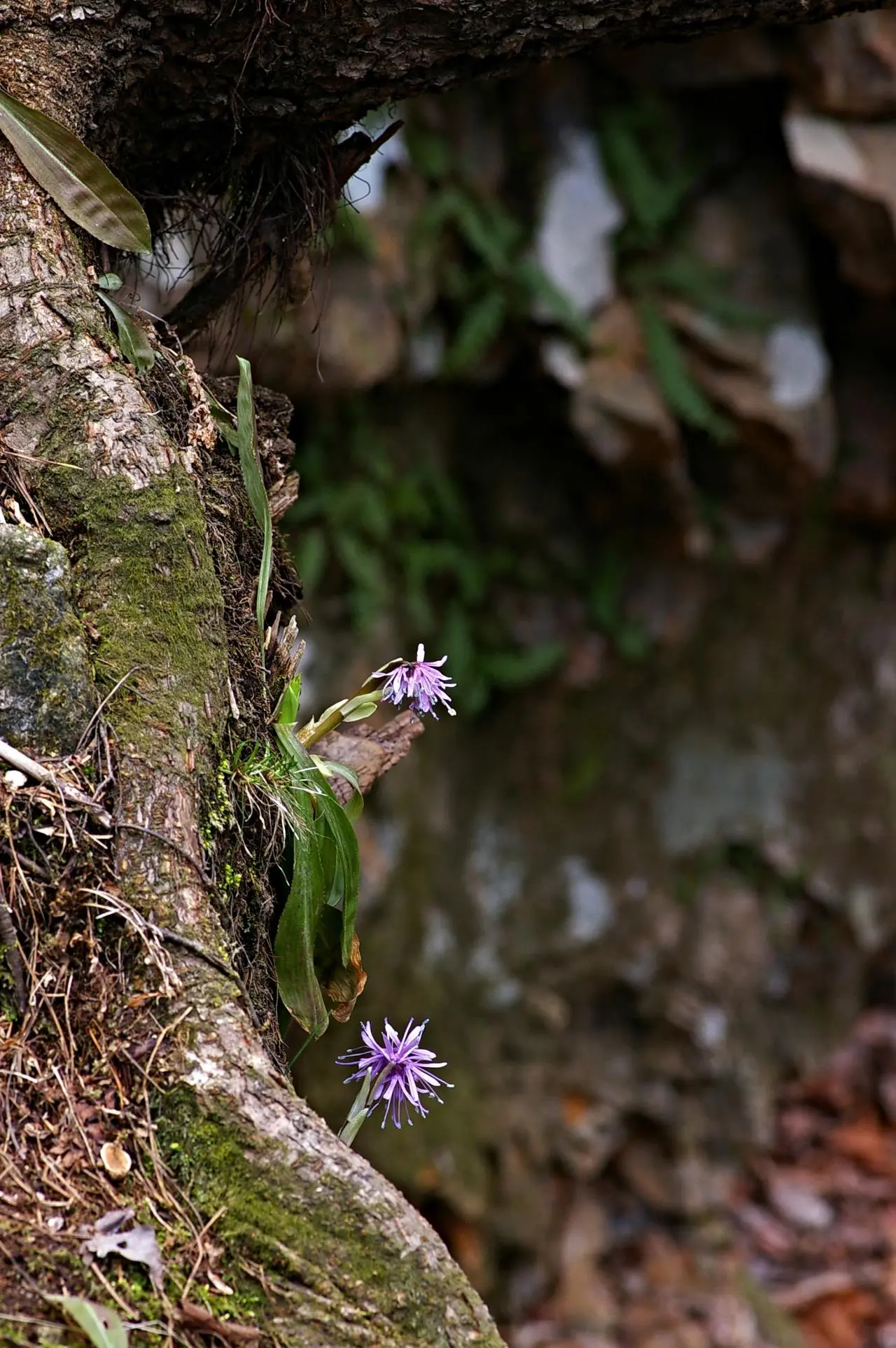 438230355_7846216098755799_1773858555150095733_n.jpg?_nc_cat=107&ccb=1-7&_nc_sid=5f2048&_nc_ohc=ZMg78xpqUg0Q7kNvgHhdfBt&_nc_ht=scontent-ssn1-1.xx&oh=00_AfCbjqMs3vx5O7SMNRh09VL0SxXmmNyvuDHSBbzhjdoHEA&oe=663CBF85