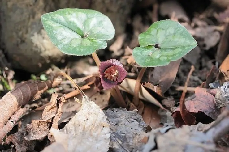 445414203_8010231685687572_5475869793352402003_n.jpg?_nc_cat=105&ccb=1-7&_nc_sid=5f2048&_nc_ohc=n0bEyGcm3W8Q7kNvgHEZcBm&_nc_ht=scontent-ssn1-1.xx&oh=00_AYC5U7qTWmhww0u0ao96tUAJHDVQmbo7UwlmCj7ZjDiF0Q&oe=666C36CF