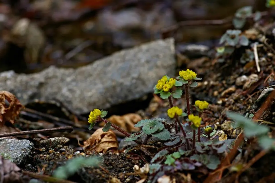 436199519_7943136655730409_7587751132154225660_n.jpg?_nc_cat=102&ccb=1-7&_nc_sid=5f2048&_nc_ohc=k3yFAJQ1FSgQ7kNvgFQLvBX&_nc_ht=scontent-ssn1-1.xx&oh=00_AYA3SXN73-yPoCfnJtGheRef_olecIyqVSuQjjxshz3WjQ&oe=665F080E