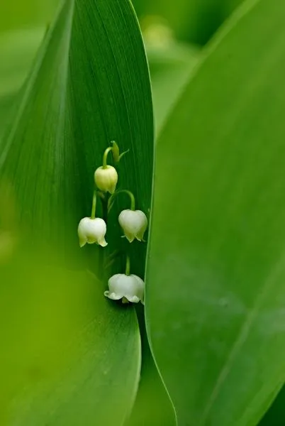 451022655_8246694602041278_4068871419108527112_n.jpg?stp=dst-jpg_s600x600&_nc_cat=107&ccb=1-7&_nc_sid=127cfc&_nc_ohc=70iTiPWkHE4Q7kNvgFRwrus&_nc_ht=scontent-ssn1-1.xx&_nc_gid=ABlGV2g75F9X9la5G5Snzxr&oh=00_AYDYRRp5r18ntItf7EvlqAuVupdroKwDow3DqvSBa-ctjQ&oe=66E40CA6