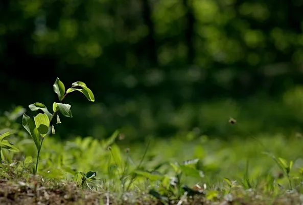 452515547_8284189521625119_5846472080157634643_n.jpg?stp=dst-jpg_s843x403&_nc_cat=105&ccb=1-7&_nc_sid=127cfc&_nc_ohc=XvPkoSJH9gAQ7kNvgEQX2hB&_nc_ht=scontent-ssn1-1.xx&_nc_gid=AGn6a--MxPU27_Q1bNeM0X4&oh=00_AYATqWQmLaTwvOwrT5FoF7uvl5IVhbcLxH0SlG0dwJcTtQ&oe=66EFF596