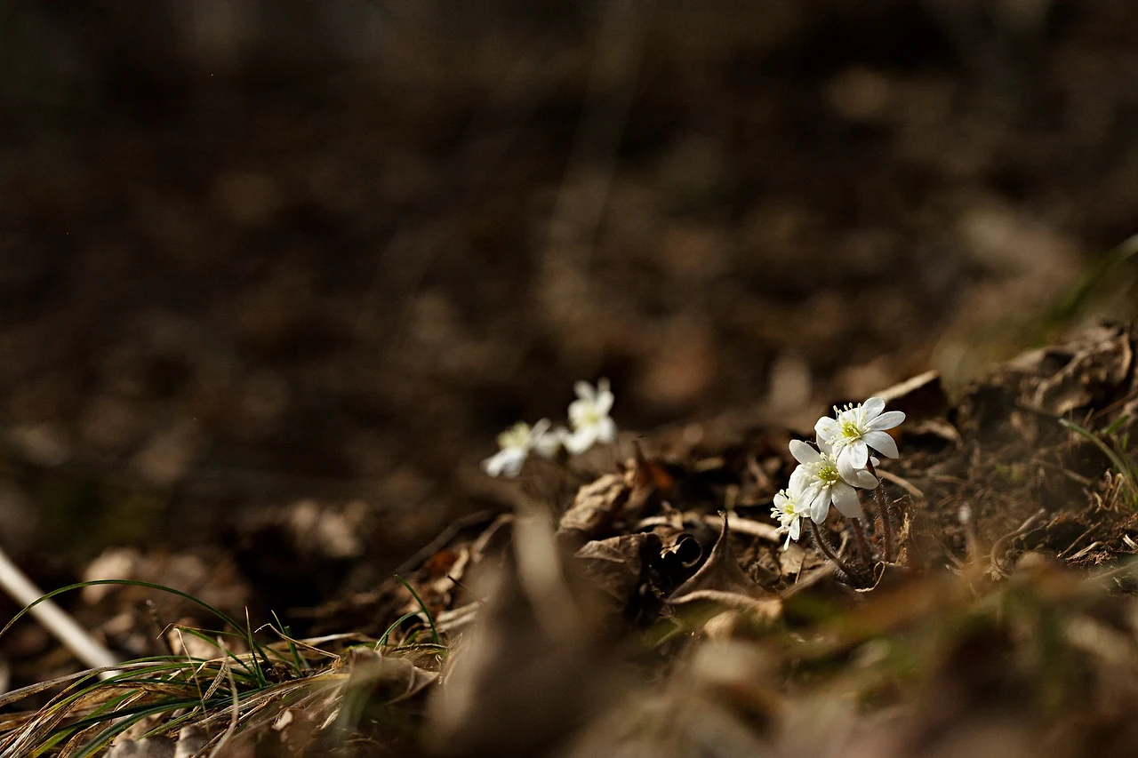 434773897_7779593598751383_1922074742047427008_n.jpg?_nc_cat=104&ccb=1-7&_nc_sid=5f2048&_nc_ohc=q_ENT0OvsfkAb6bn51P&_nc_ht=scontent-ssn1-1.xx&oh=00_AfDxuCejxC6NIM7mAFeTCZM2L-ikh-WSEhMi5RgsOOmqgQ&oe=662E1F0C