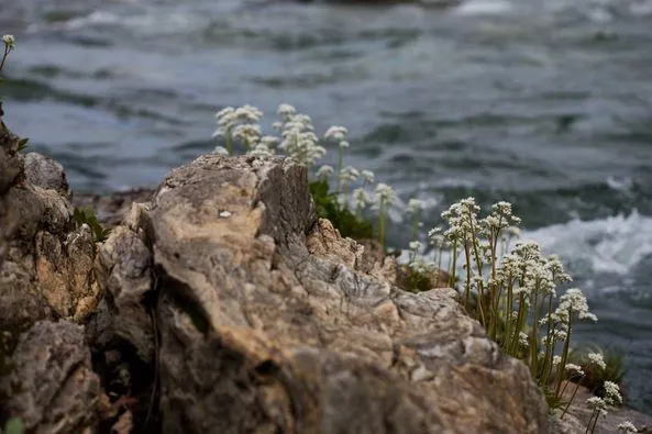 447740333_8058423314201742_6536681467524252199_n.jpg?stp=dst-jpg_p526x395&_nc_cat=106&ccb=1-7&_nc_sid=5f2048&_nc_ohc=ObdyqH8kLqEQ7kNvgG_ZY6Z&_nc_ht=scontent-ssn1-1.xx&oh=00_AYDp0aCpLnYyn5ul9FzWAZpR-EoZe3k49bQ5bEiPRVUoBQ&oe=667E8386