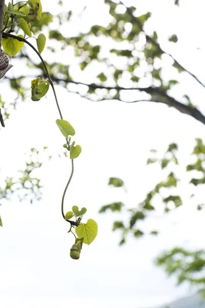 452929992_8302254449818626_50361548059451335_n.jpg?stp=dst-jpg_s600x600&_nc_cat=111&ccb=1-7&_nc_sid=127cfc&_nc_ohc=a1aynoS-zXMQ7kNvgEeM97J&_nc_ht=scontent-ssn1-1.xx&_nc_gid=Ayzspz01co8YxJrke4YgsMi&oh=00_AYD5lTnsa93uQdA4JvOq9q95B24Ap1K392RucOUibOHO5Q&oe=66FE69A9