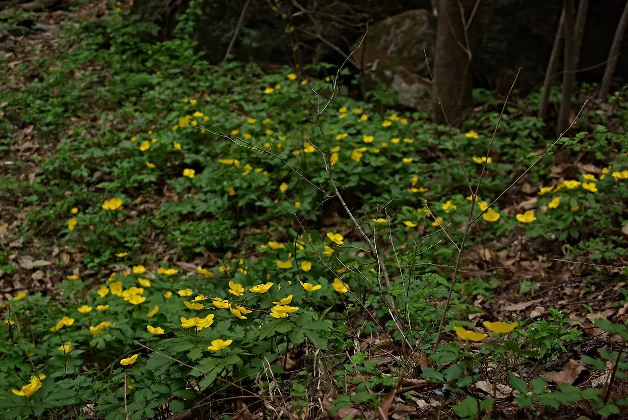 438305091_7894842400559835_6615671716787398973_n.jpg?_nc_cat=110&ccb=1-7&_nc_sid=5f2048&_nc_ohc=A5aE5mwol7QQ7kNvgH1XrA6&_nc_ht=scontent-ssn1-1.xx&oh=00_AYDCjG_pE2BSAJPJ6QHaTw8AWVjv0s3lXwdkvWNZUWQkSg&oe=664C51C3