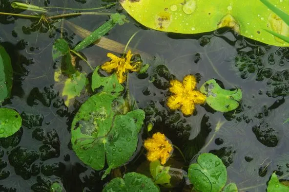 449745502_8179681345409271_331453247031252846_n.jpg?stp=dst-jpg_p526x395&_nc_cat=105&ccb=1-7&_nc_sid=127cfc&_nc_ohc=N8sp6n5BjDYQ7kNvgEhB55k&_nc_ht=scontent-ssn1-1.xx&oh=00_AYCcCzsQkG8xhR00Rw3o9pTMmS6Zma39C26wrcx5OANbXw&oe=66DED718