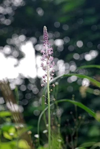 439336847_7836209183089824_4992819282048836021_n.jpg?stp=dst-jpg_s600x600&_nc_cat=103&ccb=1-7&_nc_sid=5f2048&_nc_ohc=G9gCecmd0aYQ7kNvgHPfeU3&_nc_ht=scontent-ssn1-1.xx&oh=00_AfD8cWFVn8H0sIxDW72QC28-KozWFX1PzxzabxQ-r3A8Dw&oe=6638BD66