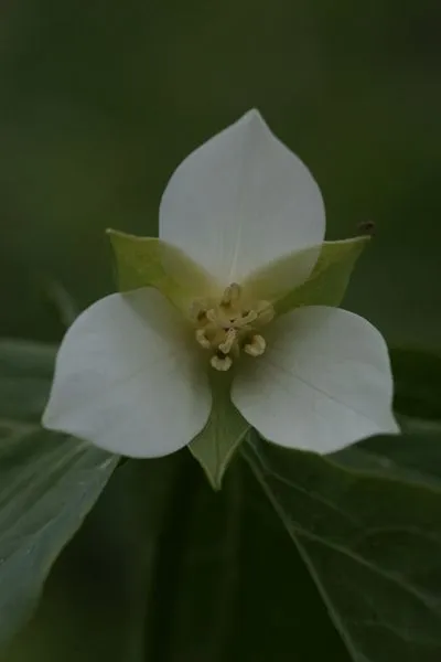 458470858_8547232588654143_2564863412637264028_n.jpg?stp=dst-jpg_s600x600&_nc_cat=108&ccb=1-7&_nc_sid=127cfc&_nc_ohc=-kLogcQqeOAQ7kNvgE-M_ji&_nc_ht=scontent-ssn1-1.xx&_nc_gid=A-aFcTjQYgUhOPCzfIL_0e9&oh=00_AYBKWb-n0PiNy4JRcjrAv5011EKYBg9tfaIIvQyKUSaKEQ&oe=66FE64D2