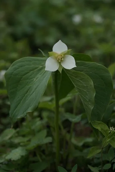 458518435_8547232585320810_1218937408436401550_n.jpg?stp=dst-jpg_s600x600&_nc_cat=108&ccb=1-7&_nc_sid=127cfc&_nc_ohc=-74-xsPVcZsQ7kNvgEpZowA&_nc_ht=scontent-ssn1-1.xx&_nc_gid=A-aFcTjQYgUhOPCzfIL_0e9&oh=00_AYCjWxqiphz10lP4SC80-3fIxYuhIvUHoI9e5Azjr1cNlg&oe=66FE8340