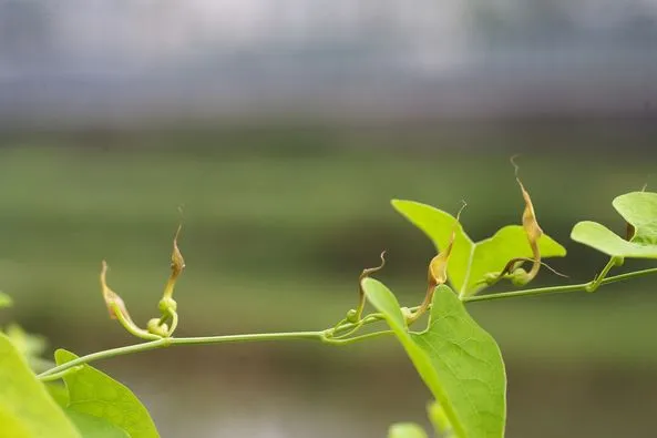 452841884_8302255289818542_69012270003540136_n.jpg?stp=dst-jpg_p526x395&_nc_cat=102&ccb=1-7&_nc_sid=127cfc&_nc_ohc=ivnhnFWVPdYQ7kNvgFAEj1i&_nc_ht=scontent-ssn1-1.xx&_nc_gid=Ayzspz01co8YxJrke4YgsMi&oh=00_AYCP878-O1-QcFQJhIbW4i7Xf4iLeRk-7FK21eTYiv96zw&oe=66FE9520