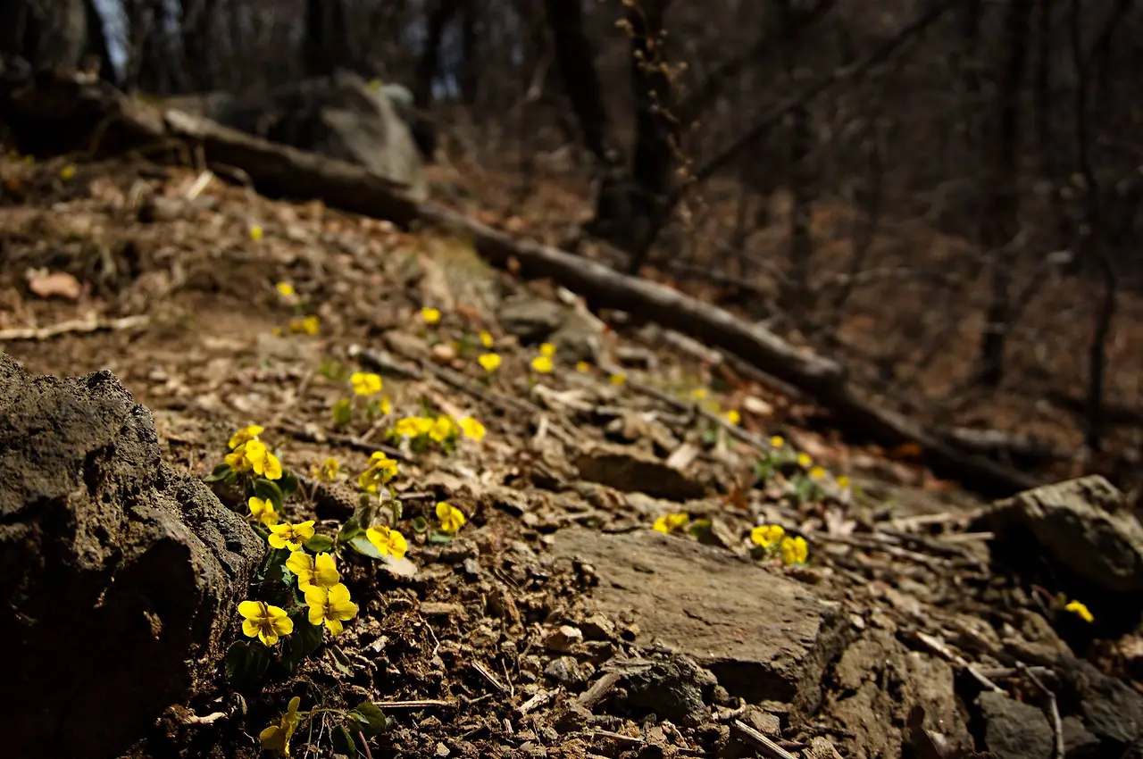 444762186_7996613637049377_7487540099947420128_n.jpg?_nc_cat=106&ccb=1-7&_nc_sid=5f2048&_nc_ohc=DfA5aaPVQckQ7kNvgHavSF4&_nc_ht=scontent-ssn1-1.xx&oh=00_AYAaPhcO7SXL8u_--LwIPrQ1L837Jtwp6NfWkK6Q1zZGzg&oe=66681FFC