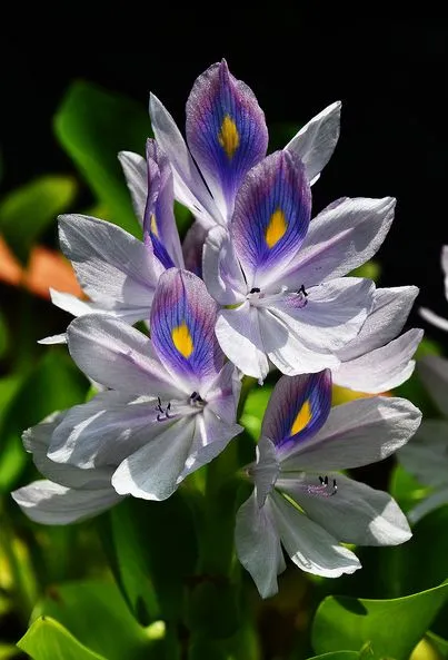 459026026_8573689226008479_4945508415546971795_n.jpg?stp=dst-jpg_p403x403&_nc_cat=108&ccb=1-7&_nc_sid=127cfc&_nc_ohc=OMrGnsG-3V4Q7kNvgFJ9LmH&_nc_ht=scontent-ssn1-1.xx&_nc_gid=AhnPtDSUq4KMRpUNmNhQCyv&oh=00_AYAllxy3Z59Zeitl5KdsM0l5VXe7i0_eqdODVmJ-ZtV3Jw&oe=66FE858A