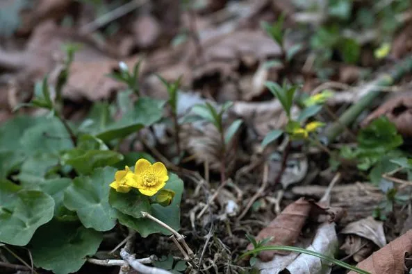 449100391_8138384139538992_1035984483972981083_n.jpg?stp=dst-jpg_p526x395&_nc_cat=107&ccb=1-7&_nc_sid=127cfc&_nc_ohc=rEzp2jTdcKMQ7kNvgFLVDz3&_nc_ht=scontent-ssn1-1.xx&oh=00_AYCVANcPUB8IYp9BgaJkEqtnRmbTeZLxXw2Falj9ePryLA&oe=66A4EAAF