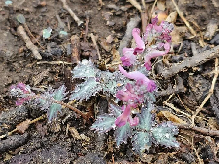 437983512_7784050158305727_2693466186103574165_n.jpg?stp=cp6_dst-jpg&_nc_cat=106&ccb=1-7&_nc_sid=5f2048&_nc_ohc=yaipFe__xkEAb7YLlC6&_nc_ht=scontent-ssn1-1.xx&oh=00_AfBA9Dcva5t8Dky_r4ydohZDiXIUtAg48_gvmbhPB56-2g&oe=6630FAAA