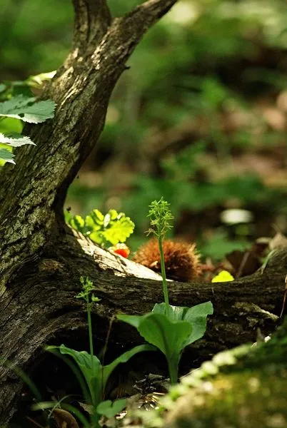 458780117_8573687752675293_6104900986704564727_n.jpg?stp=dst-jpg_s600x600&_nc_cat=105&ccb=1-7&_nc_sid=127cfc&_nc_ohc=LYSPeiFMMwwQ7kNvgGiUbcz&_nc_ht=scontent-ssn1-1.xx&_nc_gid=AhnPtDSUq4KMRpUNmNhQCyv&oh=00_AYCHqnb4Dimx_faRdOBk0QeY_acwkI08LnKB2njIyJIzRA&oe=66FE9547