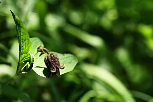 452393635_8284191971624874_3464762064323371464_n.jpg?stp=dst-jpg_p526x395&_nc_cat=110&ccb=1-7&_nc_sid=127cfc&_nc_ohc=F5TOfcZyCscQ7kNvgHtJ1kO&_nc_ht=scontent-ssn1-1.xx&_nc_gid=AGn6a--MxPU27_Q1bNeM0X4&oh=00_AYAN09KtuMGQzscPTJGL6m-tpvKPHkrrxifUNDcLJRvUTg&oe=66EFCE5D