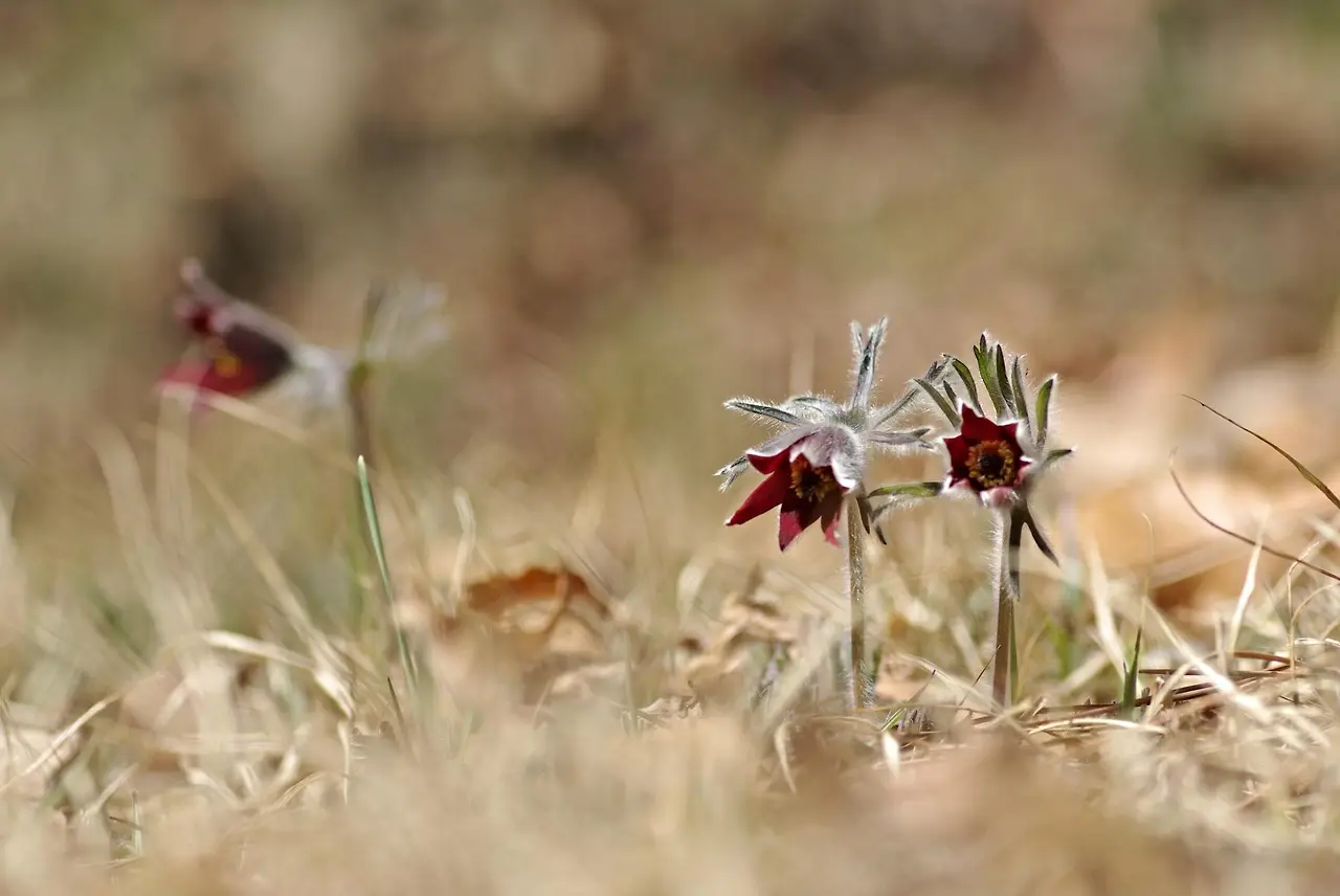 440937236_7872326986144710_1307081388409285355_n.jpg?_nc_cat=101&ccb=1-7&_nc_sid=5f2048&_nc_ohc=iV6pZ8nNr4AQ7kNvgGrWABz&_nc_ht=scontent-ssn1-1.xx&oh=00_AYAqpv5N8lJ7xyetyh3fJEhoBFxTtZg0iSIMQKsUc2ETLw&oe=66433245