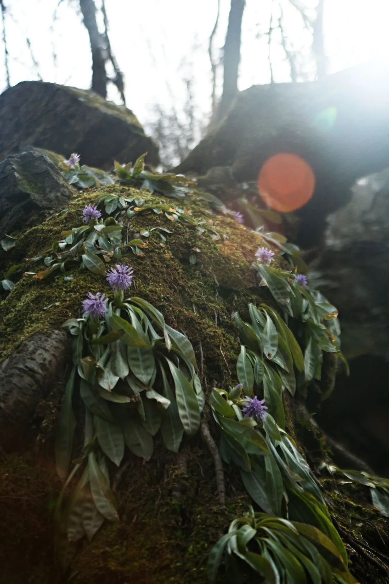 438205707_7846216522089090_8503142487116066669_n.jpg?_nc_cat=106&ccb=1-7&_nc_sid=5f2048&_nc_ohc=Yo-A8mGnNTMQ7kNvgE_4PSs&_nc_ht=scontent-ssn1-1.xx&oh=00_AfBOO9lWLG_xHXqdYnhMLwPSJT4ugwiiCv3-6uqEJxeZjQ&oe=663C8C80