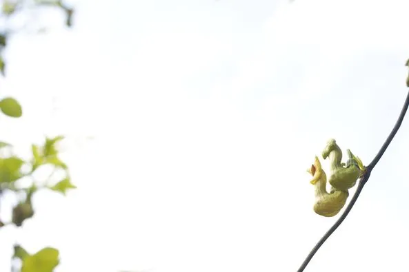 452855005_8302254456485292_6137095912310432618_n.jpg?stp=dst-jpg_p526x395&_nc_cat=102&ccb=1-7&_nc_sid=127cfc&_nc_ohc=kRG5GDu8TaUQ7kNvgHHdfrN&_nc_ht=scontent-ssn1-1.xx&_nc_gid=Ayzspz01co8YxJrke4YgsMi&oh=00_AYDyLV4il8OKckrWLkLqsOqx52QTBytrQfrLHitk8aqDWg&oe=66FE6368