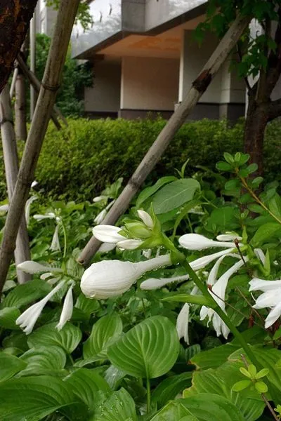 458922500_8573686099342125_2240480277620503218_n.jpg?stp=dst-jpg_s600x600&_nc_cat=103&ccb=1-7&_nc_sid=127cfc&_nc_ohc=PdXSD12XSSQQ7kNvgESQba3&_nc_ht=scontent-ssn1-1.xx&_nc_gid=AhnPtDSUq4KMRpUNmNhQCyv&oh=00_AYBBv6KuboGC8znx5H1M-DBUZV5GU2nNY91lV0EYaO0MSw&oe=66FE9190