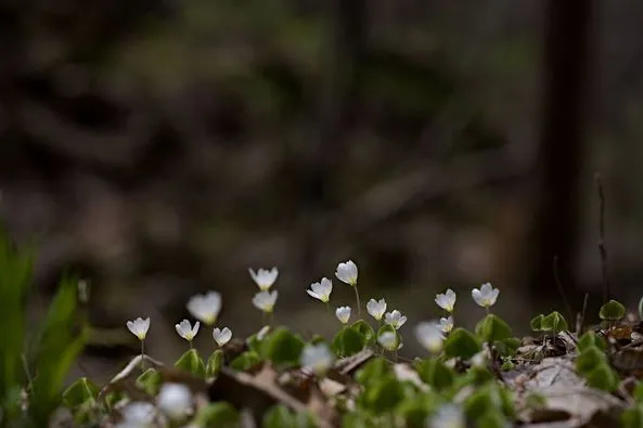 436130579_7926017227442352_6477623171076828301_n.jpg?stp=dst-jpg_p526x395&_nc_cat=109&ccb=1-7&_nc_sid=5f2048&_nc_ohc=Tx_XOI2_CTkQ7kNvgEym7VE&_nc_ht=scontent-ssn1-1.xx&oh=00_AYAfJl1XN6q6ALTIMu4vxvEXEjBpxP-Vo1Nx6uIVdSPptg&oe=665AFA66