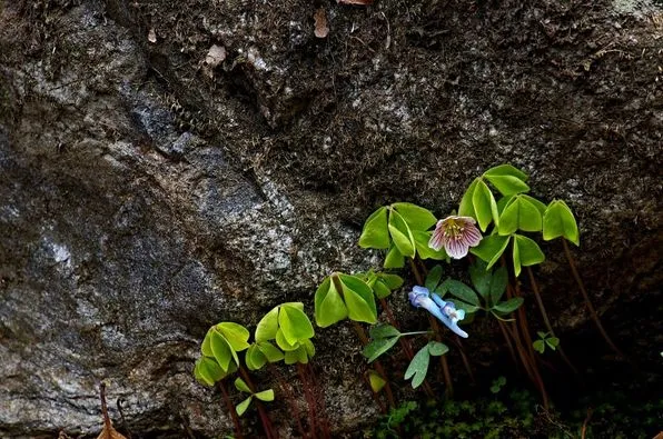 427990003_7926016574109084_8293688795441340224_n.jpg?stp=dst-jpg_p526x395&_nc_cat=105&ccb=1-7&_nc_sid=5f2048&_nc_ohc=CJdP3bASQisQ7kNvgGLjCMX&_nc_ht=scontent-ssn1-1.xx&oh=00_AYA4MQMRhLfgP8WBidmGKGsEKBE9RCGkkOWjkb97-gYpvg&oe=665B1415