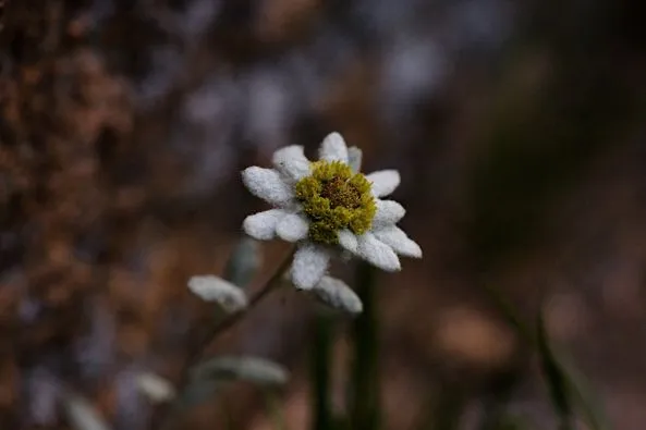 453393622_8325906464120091_7232978453799709020_n.jpg?stp=dst-jpg_p526x395&_nc_cat=111&ccb=1-7&_nc_sid=127cfc&_nc_ohc=w3whWM1lIa0Q7kNvgFWMAyB&_nc_ht=scontent-ssn1-1.xx&_nc_gid=AGXJfqGR84aGmGz2lUmNpjT&oh=00_AYC2jKM9CQ3bEFAO1OdjKBaK22T9gjJDQOipSpZoRLWSWg&oe=66FE99E7