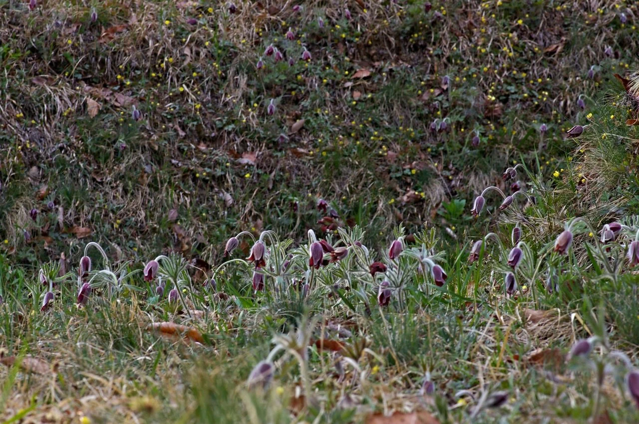 440932921_7872327006144708_6359908685014563709_n.jpg?_nc_cat=111&ccb=1-7&_nc_sid=5f2048&_nc_ohc=LIyz1-GiFWUQ7kNvgFf7TGI&_nc_ht=scontent-ssn1-1.xx&oh=00_AYBh18oLiJsaiHRGgjNibii7ReB1OdpjyVukUKcci6TbxQ&oe=664327A9