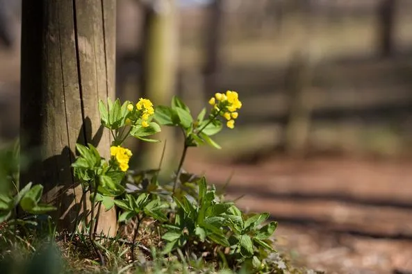 448803092_8107594655951274_6306659706685701614_n.jpg?stp=dst-jpg_p526x395&_nc_cat=104&ccb=1-7&_nc_sid=127cfc&_nc_ohc=3kx-HjBkN0wQ7kNvgG_CmgV&_nc_ht=scontent-ssn1-1.xx&oh=00_AYAQG4ejp-LDG4re6jMguKgwSvlTtAZ9zwucxVVu2LZS6A&oe=668B916B