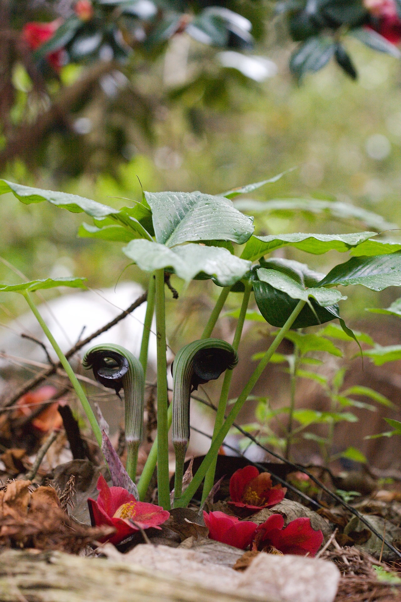 447297158_8028088610568546_6552010273896710550_n.jpg?_nc_cat=103&ccb=1-7&_nc_sid=5f2048&_nc_ohc=NG96Vi7U07sQ7kNvgEHHgeN&_nc_ht=scontent-ssn1-1.xx&oh=00_AYAZUCv_7KnXTTAEjn-XGJWAmyr8NXo9B_JG49jBwJSNhg&oe=66700D4E