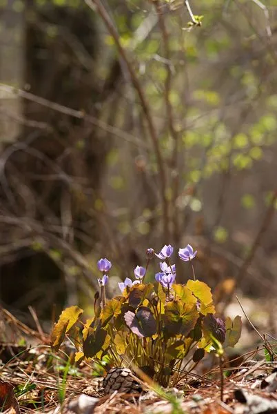 449066471_8128327867211286_3177330181076483580_n.jpg?stp=dst-jpg_s600x600&_nc_cat=100&ccb=1-7&_nc_sid=127cfc&_nc_ohc=OLiPwHBQ8rIQ7kNvgFYb8FP&_nc_ht=scontent-ssn1-1.xx&oh=00_AYB6n2vL79mrgJyrSic8v1sxKTPwg_2MlGYf9jSLHv5m_A&oe=66938C1C