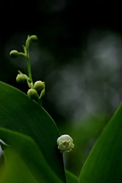 451128142_8246694588707946_6014461038882926560_n.jpg?stp=dst-jpg_s600x600&_nc_cat=105&ccb=1-7&_nc_sid=127cfc&_nc_ohc=SQPaL8zVllIQ7kNvgHZUtMT&_nc_ht=scontent-ssn1-1.xx&_nc_gid=ABlGV2g75F9X9la5G5Snzxr&oh=00_AYAETS6-feUzAQhNA61wLaDPIst28Dr0COvs4sT27avm8g&oe=66E3FE0B