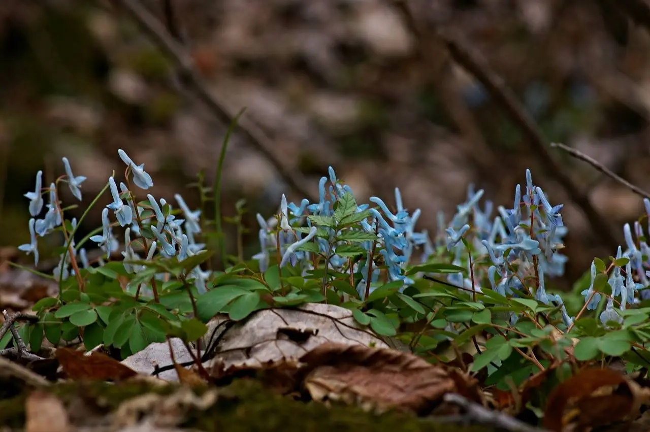 435174002_7784049041639172_1369116028030966949_n.jpg?_nc_cat=100&ccb=1-7&_nc_sid=5f2048&_nc_ohc=WGN1nTPurnAAb6Cyozc&_nc_ht=scontent-ssn1-1.xx&oh=00_AfAfbSmckqhpNWdfAz2g7pY9zvsgYKvhPLGbCpRLgt1FvA&oe=6631264A