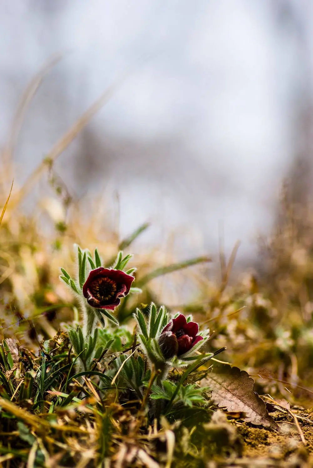 440936630_7872326972811378_6050469481567572496_n.jpg?_nc_cat=104&ccb=1-7&_nc_sid=5f2048&_nc_ohc=P9Ihce7kN0MQ7kNvgEsWoh2&_nc_ht=scontent-ssn1-1.xx&oh=00_AYDgdK65qFyogp-rZekv4IOA8_oLU9McdAC47oISEpu5hQ&oe=66434B29