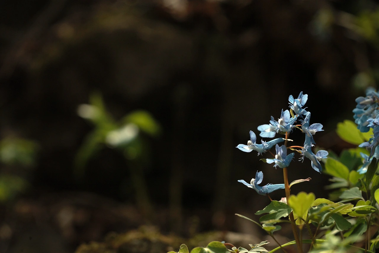 435169263_7784049758305767_4673383198606702643_n.jpg?_nc_cat=110&ccb=1-7&_nc_sid=5f2048&_nc_ohc=nMaTddWO-wMQ7kNvgHlQA-Q&_nc_ht=scontent-ssn1-1.xx&oh=00_AfBG3-L-4q2A5jQwE7QmBtMTEoyZiM-4WzscuU72Xsr6QA&oe=6631198A