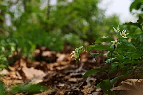 450317125_8212470685463670_8422979121852504926_n.jpg?stp=dst-jpg_p526x395&_nc_cat=105&ccb=1-7&_nc_sid=127cfc&_nc_ohc=1ktw04UwESoQ7kNvgE4008j&_nc_ht=scontent-ssn1-1.xx&oh=00_AYDq6KImoPJsp7wilZldW5OYHqcHLybnlcFePNmVa4cp6g&oe=66E3F26A