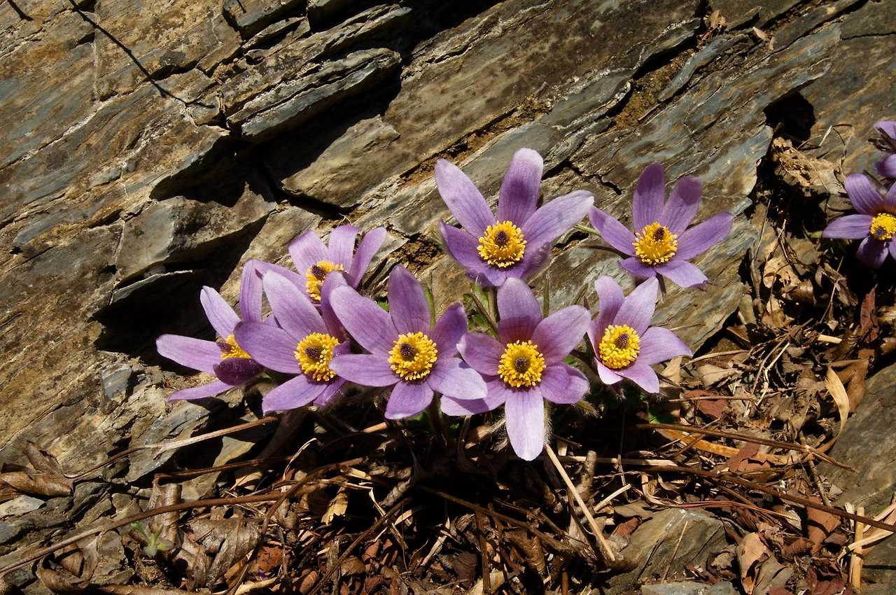 440749891_7872327996144609_3890761751072391640_n.jpg?_nc_cat=103&ccb=1-7&_nc_sid=5f2048&_nc_ohc=O0NdifN-naMQ7kNvgHuv6dD&_nc_ht=scontent-ssn1-1.xx&oh=00_AYAxh3AXpNGJ39TiZwZNfs6luZUgcLwRMl2pafj2QWauYg&oe=66433842