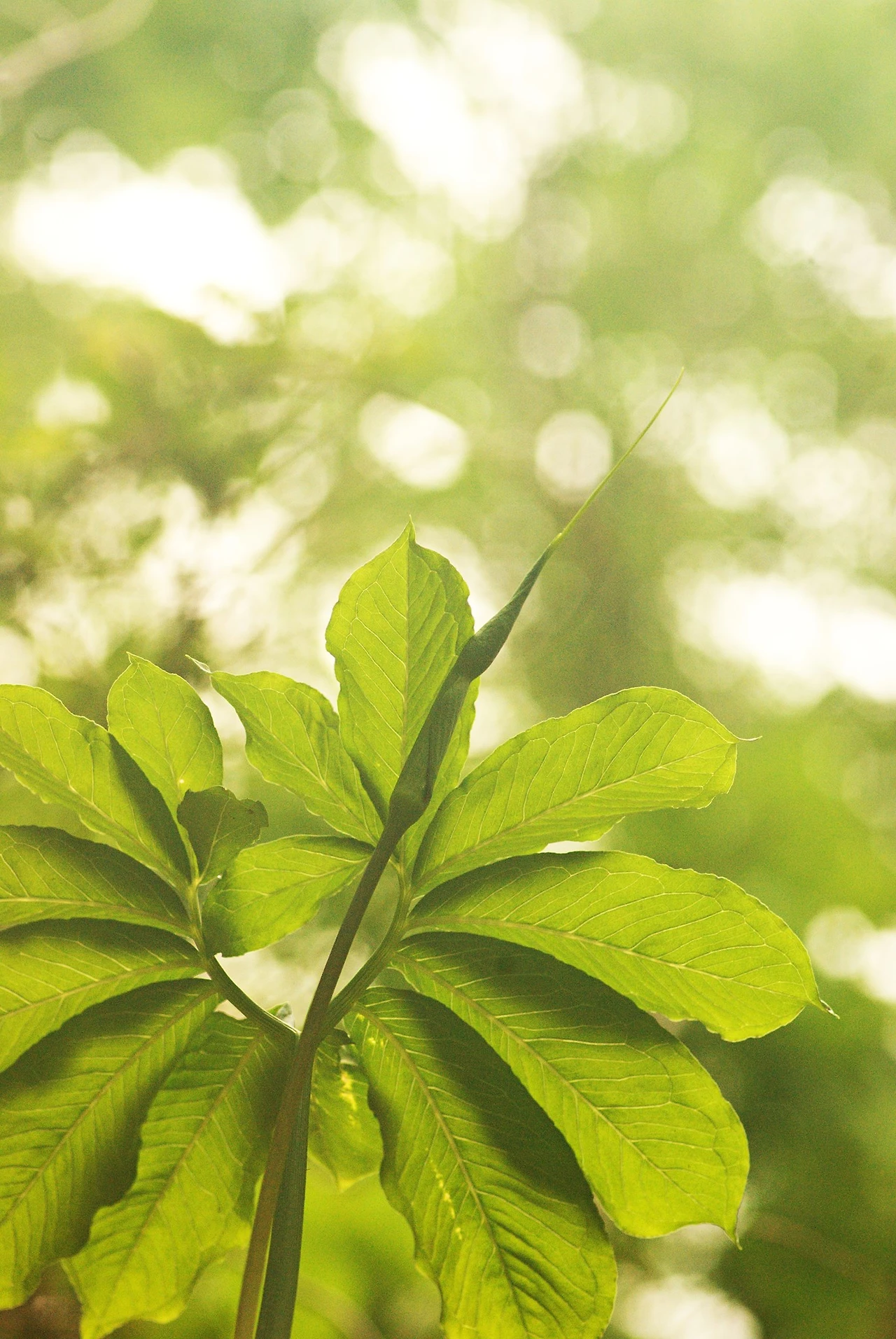 445029555_8028087323902008_4994202244603522880_n.jpg?_nc_cat=108&ccb=1-7&_nc_sid=5f2048&_nc_ohc=MbtFxBb5G0wQ7kNvgGHPGKs&_nc_ht=scontent-ssn1-1.xx&oh=00_AYBt6NeEG6YT9Es0XI6dUhq8g9PtGobQcOQ-0OK_5mVYQw&oe=6670211A