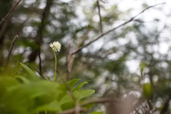 459052512_8573686626008739_5237407497022305173_n.jpg?stp=dst-jpg_p526x395&_nc_cat=101&ccb=1-7&_nc_sid=127cfc&_nc_ohc=9ICR6dHQdEUQ7kNvgEh7I0i&_nc_ht=scontent-ssn1-1.xx&_nc_gid=AhnPtDSUq4KMRpUNmNhQCyv&oh=00_AYCQQGJKh61MbYNNgNsZlawowxZw6snOU8evRKUjuSczMA&oe=66FE621D