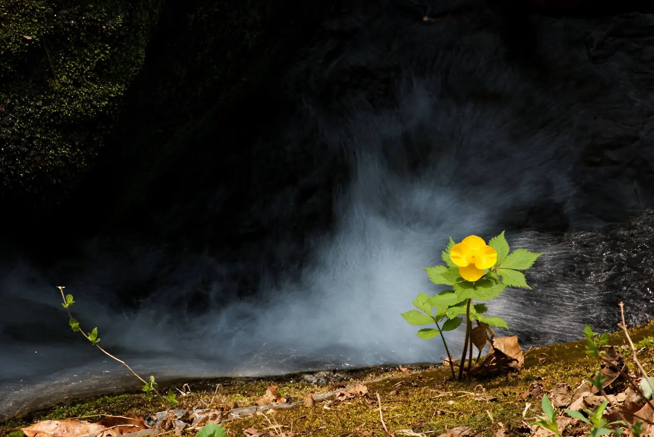 440426082_7894842397226502_3243565926373598191_n.jpg?_nc_cat=105&ccb=1-7&_nc_sid=5f2048&_nc_ohc=5GwJZf08Fx4Q7kNvgGMXd8x&_nc_ht=scontent-ssn1-1.xx&oh=00_AYB-7WN6j0mO-H8ahA72E8kkVTx9zQlrUIE4LNP1p6iKSA&oe=664C7FC0