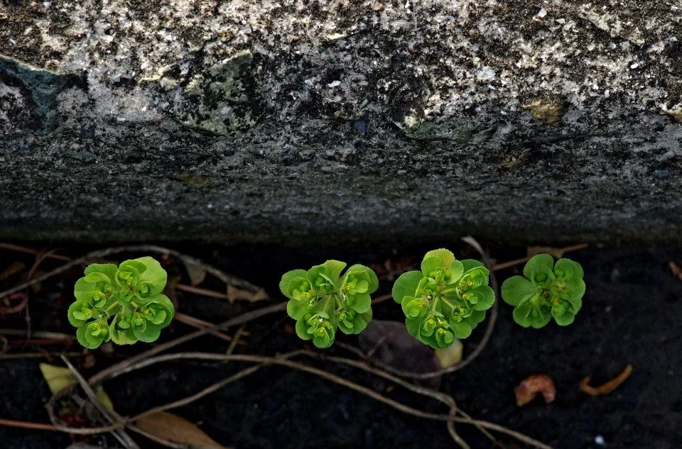 441575269_7973180319392709_6367781724180906325_n.jpg?_nc_cat=103&ccb=1-7&_nc_sid=5f2048&_nc_ohc=um7exRQJYXgQ7kNvgHTxsz9&_nc_ht=scontent-ssn1-1.xx&oh=00_AYDJJ8eKc9MvJX4dslMgZVRIXJMXSJnSOuNSz8iIzhXw3A&oe=6664114B