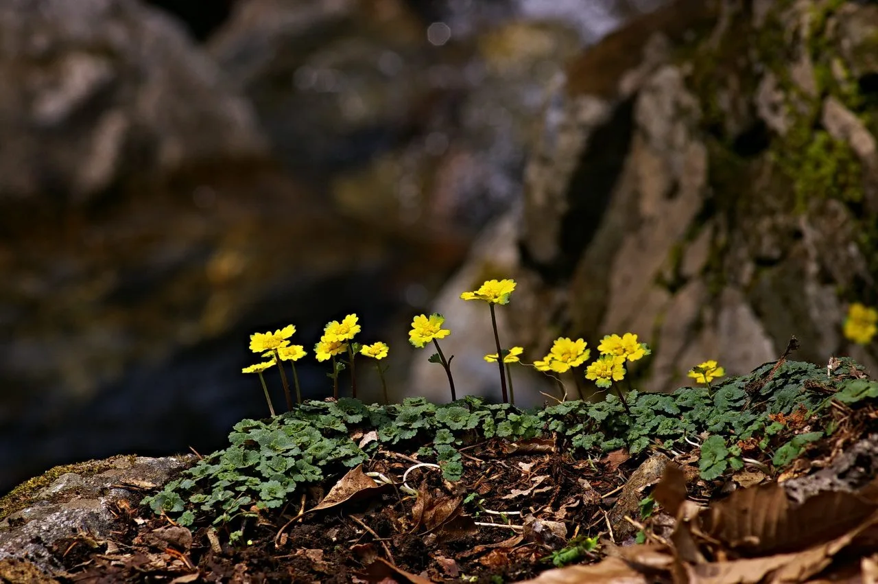 441415525_7943136039063804_7266177990911663771_n.jpg?_nc_cat=104&ccb=1-7&_nc_sid=5f2048&_nc_ohc=IrCoPeP0QoUQ7kNvgFmwbdb&_nc_ht=scontent-ssn1-1.xx&oh=00_AYAhFhiYlThAcu8ewciRmF7fdGvGl6AWX82swGBDz1rJyg&oe=665F1684